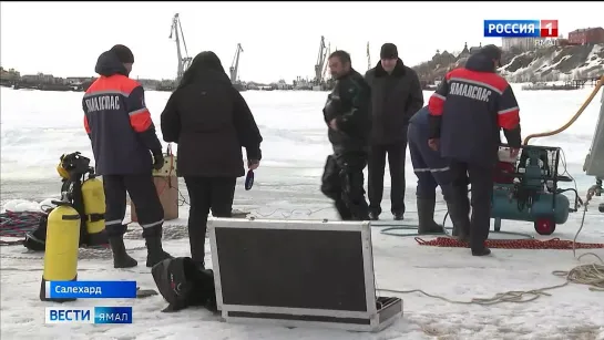 Подледный мир глазами водолаза как закаляют характер ямальские реки. Злой Ямал.