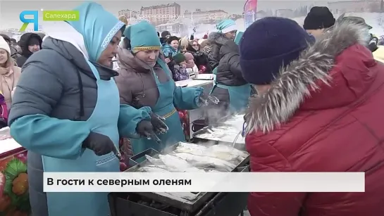 Тысячи гостей посетили День оленевода в Салехарде. Злой Ямал.