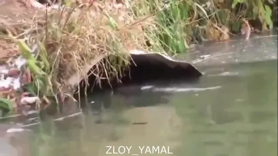 Всплытие подлодки «Бобр». Злой Ямал.