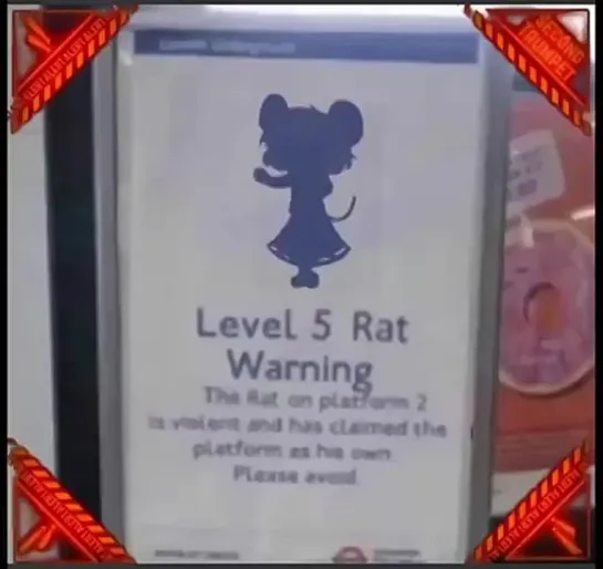 Rat warning