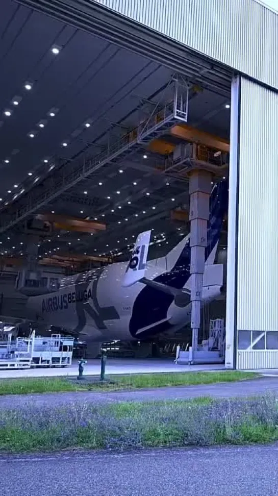 Покраска Airbus Beluga