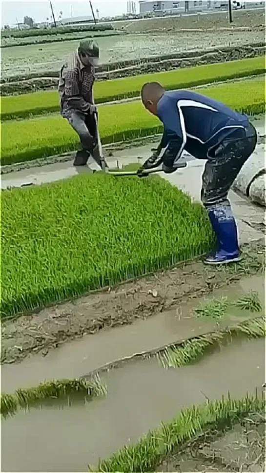 Видео от Сам себе строитель