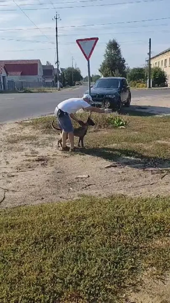 Video by Igor Bryansky