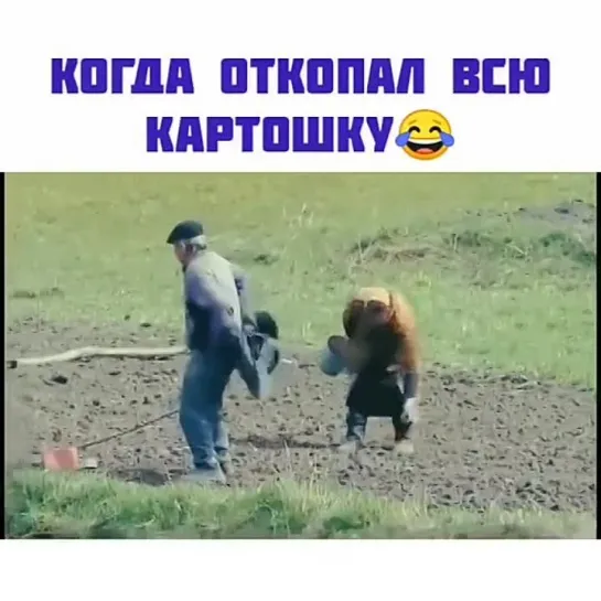 Если старость, то только такая))😅