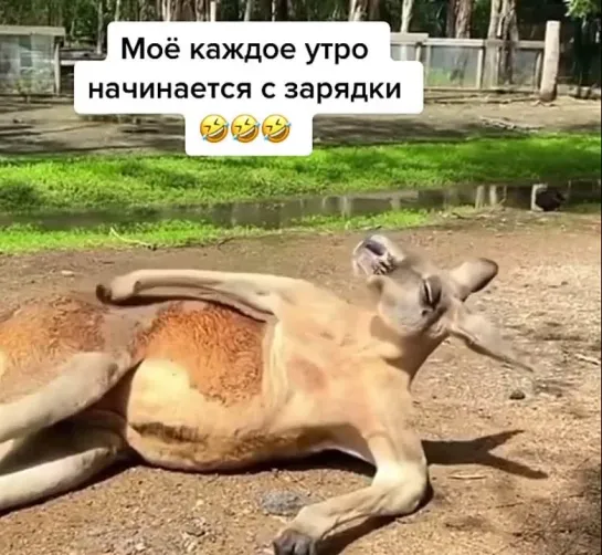 Утренний фитнес