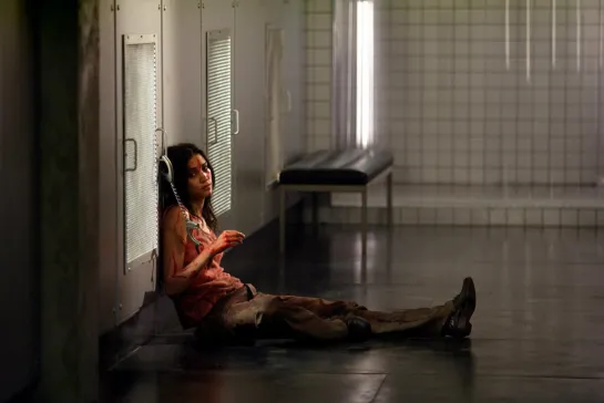 Мученицы / Martyrs (2008)