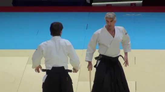 Aikido Demonstration Bruno Gonzalez World Combat Games 2013 Freestyle