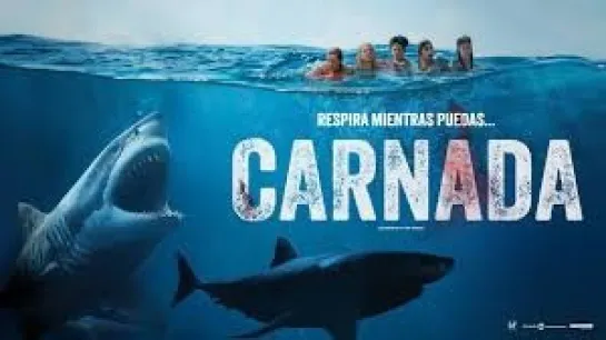 ▶️  Carnada (2024)(tiburones) suspenso y terror