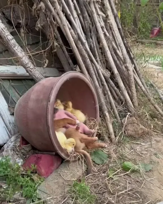 Тихий час в детском саду. 😴