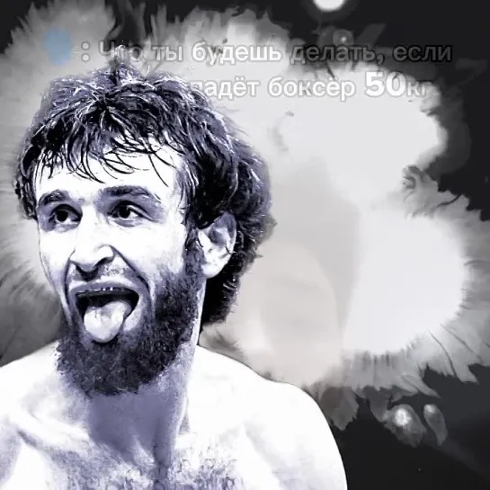 50 килограммовый боксер? мем юфс #mma SEAN O'MALLEY UFC EDIT ШОН О'МЕЛЛИ Забит Магомедшарипов