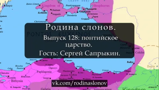 128. Родина слонов. Понтийское царство