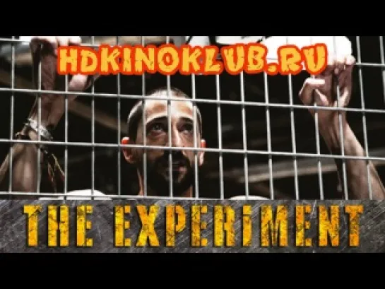 Эксперимент / The Experiment (2010)