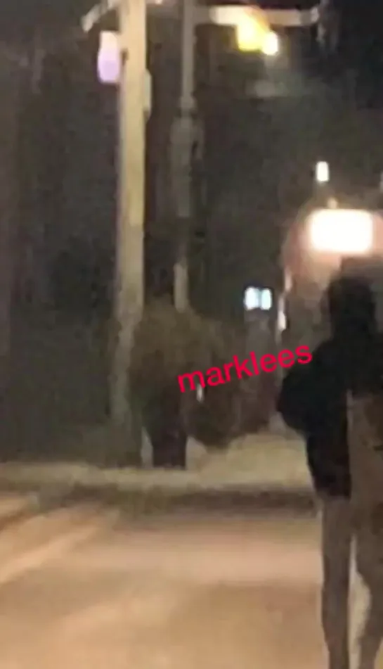 210214 cr  marklees