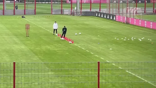 Raphaël Guerreiro has resumed training with the ball