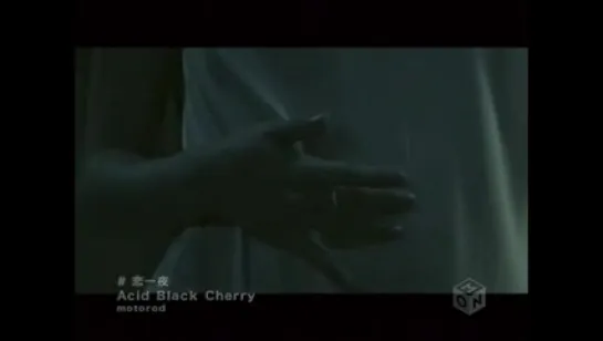 Acid Black Cherry - Koi Hitoyo