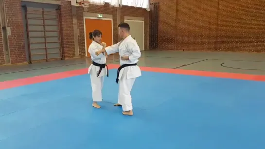 Goju Ryu Kata Renzoku Bunkai. GekiSai Dai Ichi