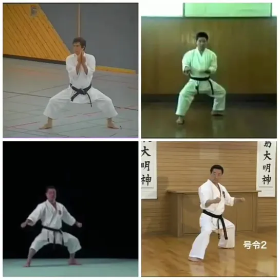 Seiunchin/ Seienchin (制引戦) Shōtōkan-ryū, Gōjū-ryū, Shitō-ryū & Kyokushin