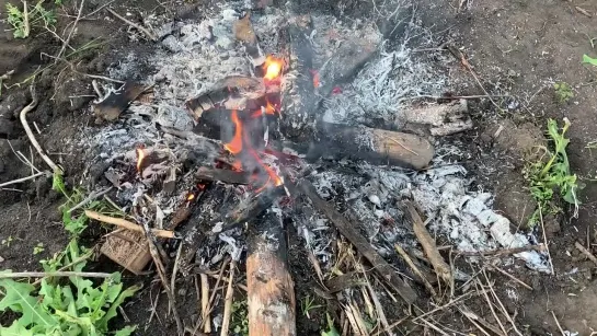 СЫГРАЛ ДЕД МАКСИМ СВОЕМУ ДЕДУ НА ГИТАРЕ! РЕАКЦИЯ!