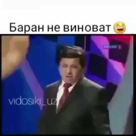 Баран не виноват