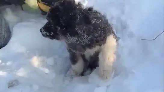 Есть добро в нашем мире!