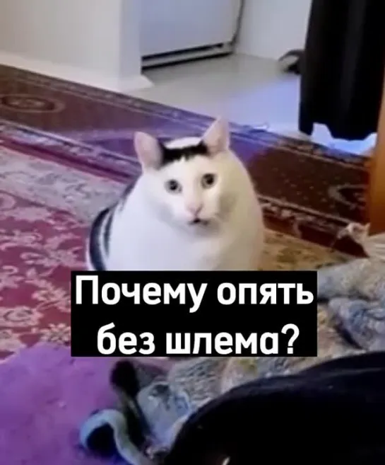 Где шлем? Почему опять без шлема?