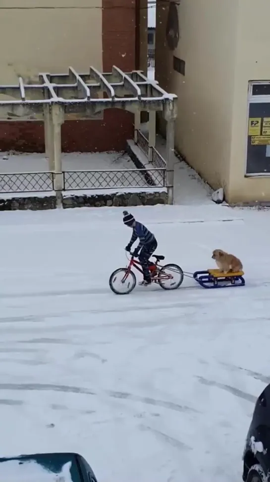 "Вот для чего нужен верный друг"