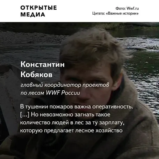 Эколог объяснил, почему в России не хватает денег и сил на тушение пожаров