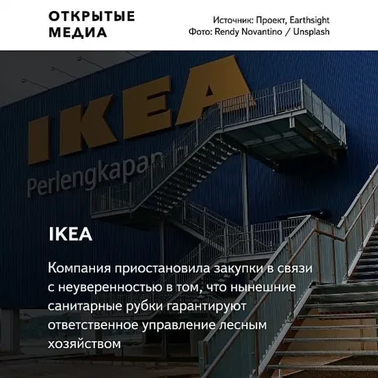 Иркутский депутат заработал состояние на продаже леса IKEA. Он добывал его незаконно