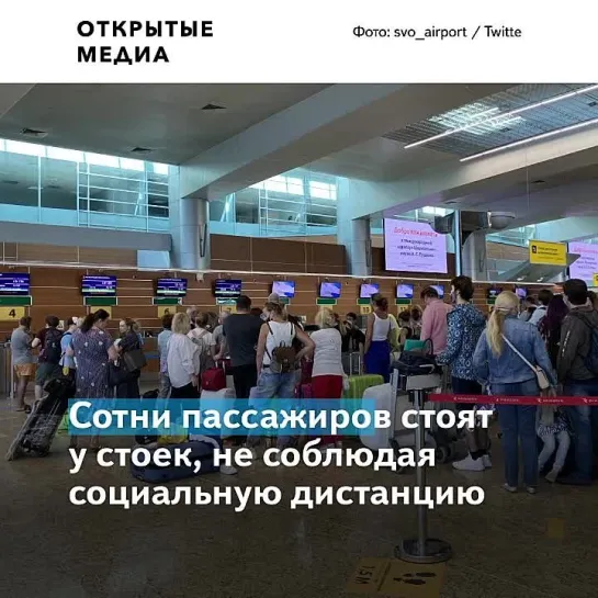 В Шереметьеве длинные очереди на стойках регистрации. Пассажиры опаздывают на рейсы