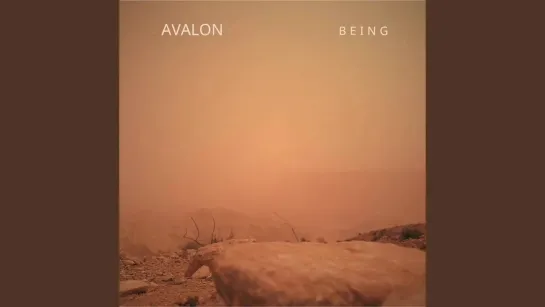 AVALON - Hoping