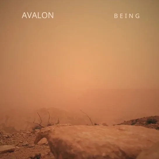 AVALON - Mourning