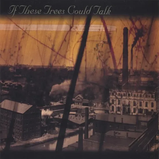 IF THESE TREES COULD TALK - Malabar Front