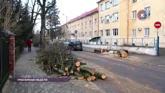 Video by КАСКАД ТВ | Калининградская область|