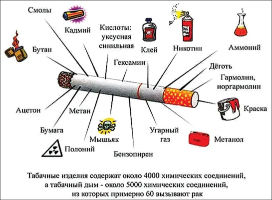 Вся правда о Табаке и Курении. Как бросить курить