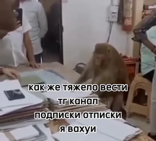 Я каждый день