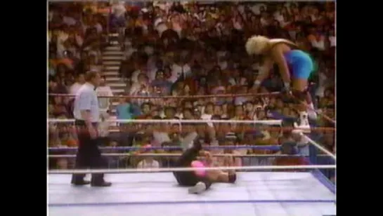 SummerSlam 1991 Part 1