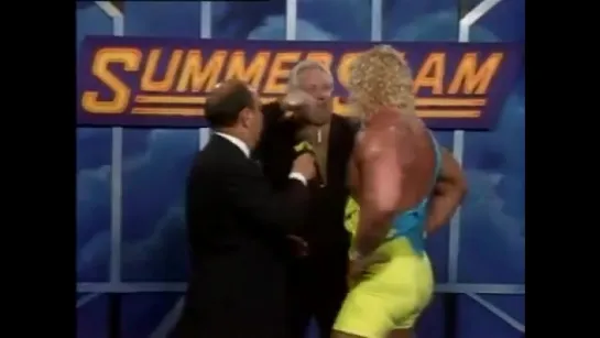 SummerSlam 1990