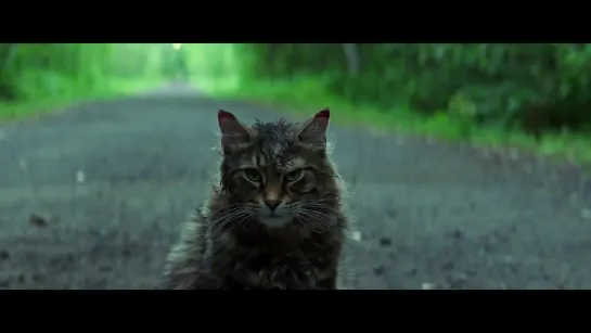 Кладбище домашних животных / Pet Sematary (США, 2019) Трейлер #2