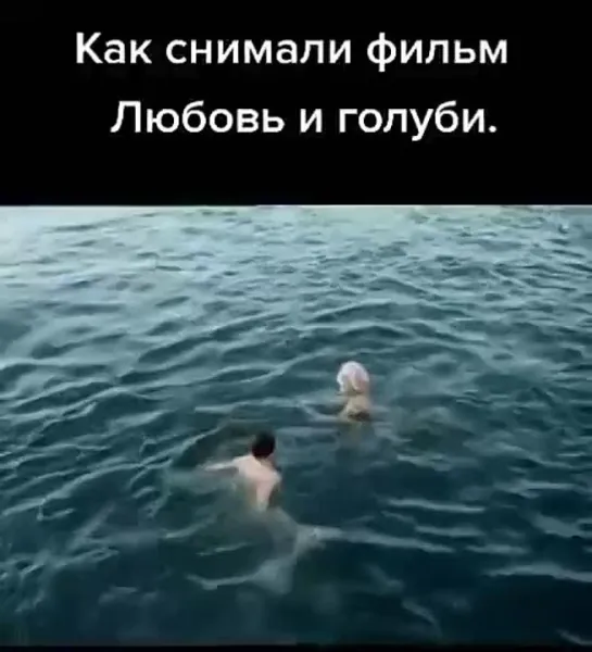 Video by Солдат Удачи