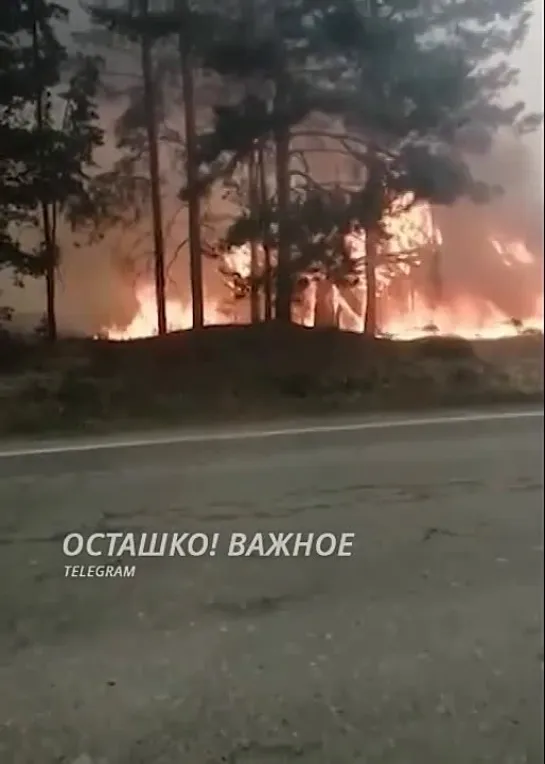 В Свердловской области на складах с порохом прогремели взрывы