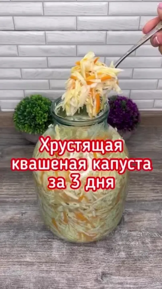 Самая вкусная хрустящая квашеная капуста