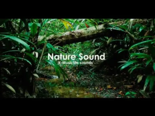 Nature Sound