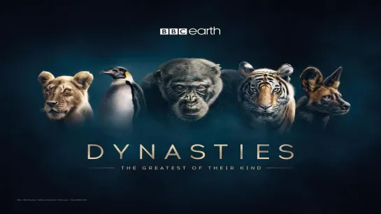 Династии (Дэвид Аттенборо) 1 серия / Dynasties (David Attenborough) / 2018