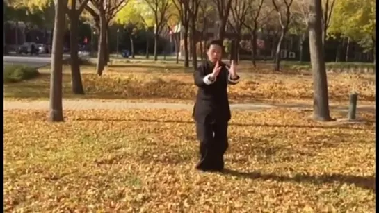 Sun Style Taijiquan 97 Form demo by Practitioner Feng Yue in China (Slow version