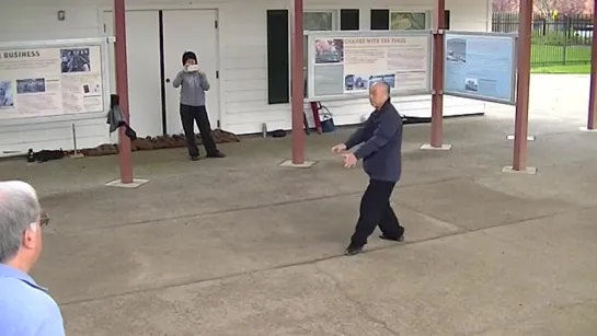 Grand Master Wing Lam Sun Tai Chi 2014