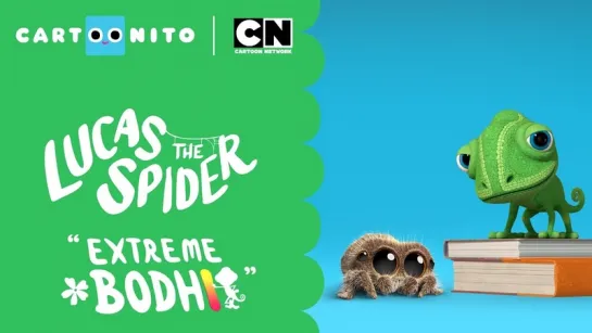 Lucas the Spider – Extreme Bodhi - Short