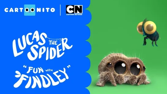 Lucas the Spider – Fun with Findley the Fly™ - Short