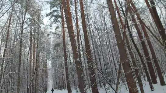 в путь , в снега 08.01.2024