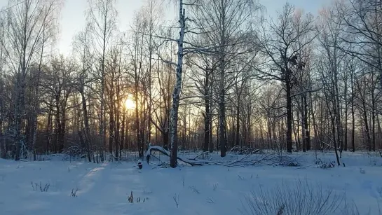 08.12.2023 приливаем кровь в оконечности