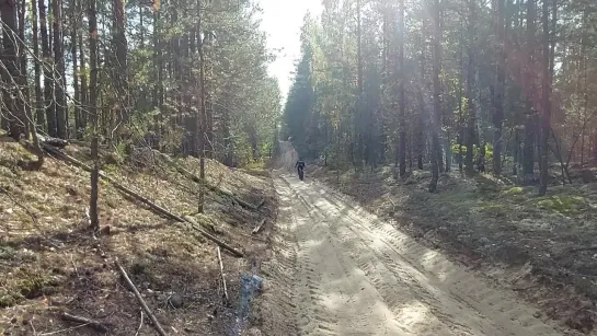 30.09.2023 гоняю на аппетит